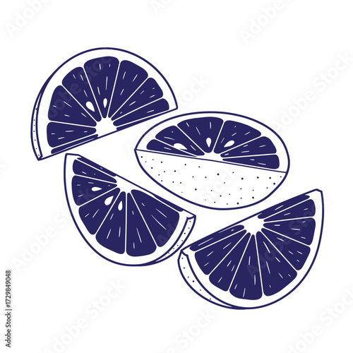 Stylized illustration of sliced citrus fruits in dark blue and white color scheme