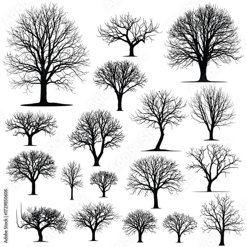 Collection of bare tree silhouettes isolated on white background for design use