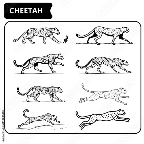 Cheetah in Motion An Artistic Rendition of the Wild Cat's Grace and Power