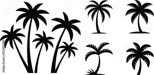 Icon set featuring various palm tree silhouettes for design and decoration purposes with on white background
