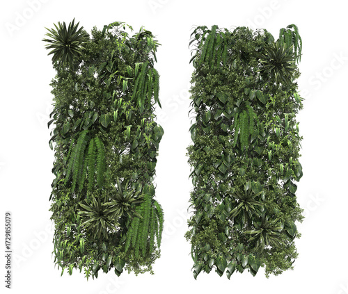 Tropical plant garden vertical on a white background