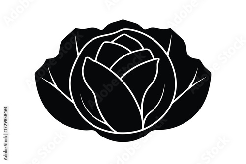 cabbage silhouette icon. Vector clipart black illustration design