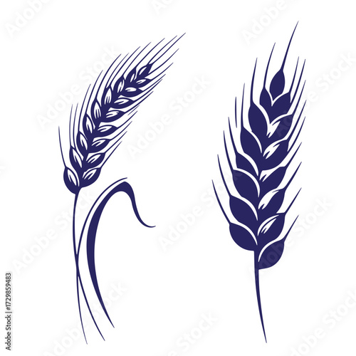 Elegant dark blue wheat ear illustration on white background suitable for branding and design
