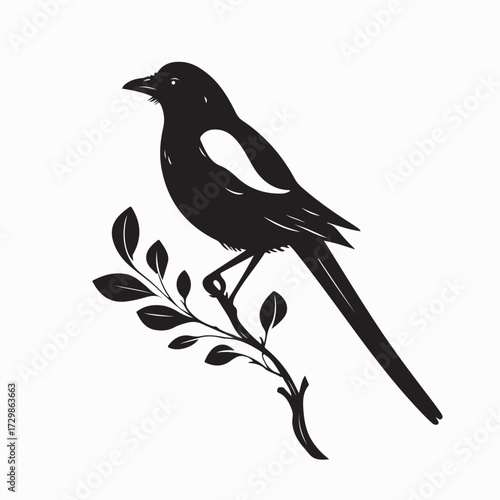Black Silhouette Magpie Bird Sitting On Branch Vector on white background