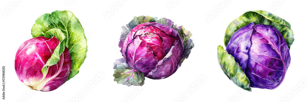 Obraz premium Watercolor painting of three red cabbages showcasing vibrant colors and textures isolated on transparent background