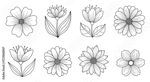 Set of eight hand drawn black and white flower illustrations.