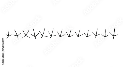 Bird Tracks in a Row - A Trail of Footprints.