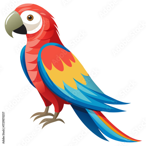 blue and yellow macaw ara ararauna
