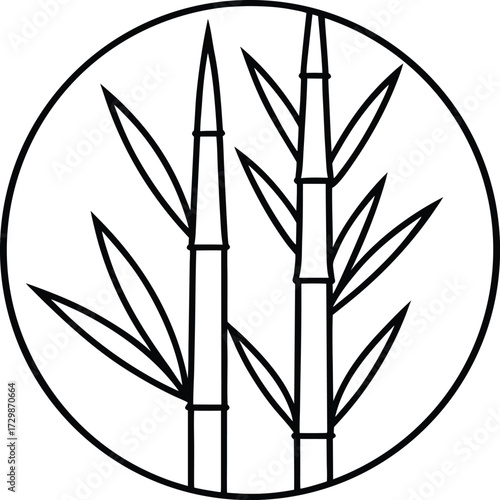bamboo shoots minimal icon line art on transparent background