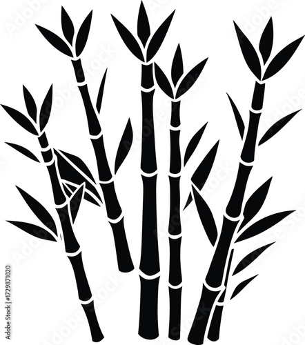 bamboo shoots emerging in spring line art on transparent background
