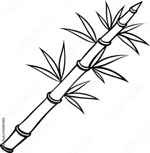 bamboo stalk with leaves line art on transparent background