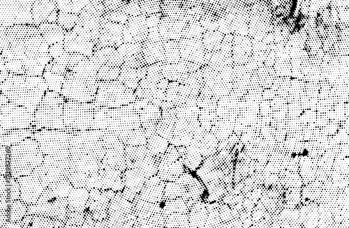 grunge concrete wall, a black and white photo of a cracked wall, Old painted white wall texture with cracked and dirty grunge surface for a textured background pattern