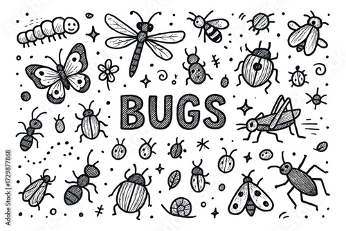 Hand-drawn insects black and white illustration featuring butterflies beetles ants and more