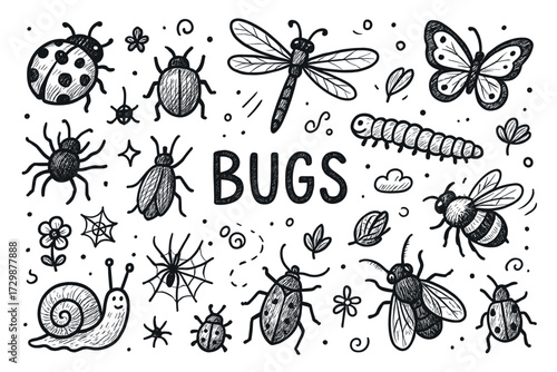 Variety of hand-drawn bugs and insects in black and white illustration