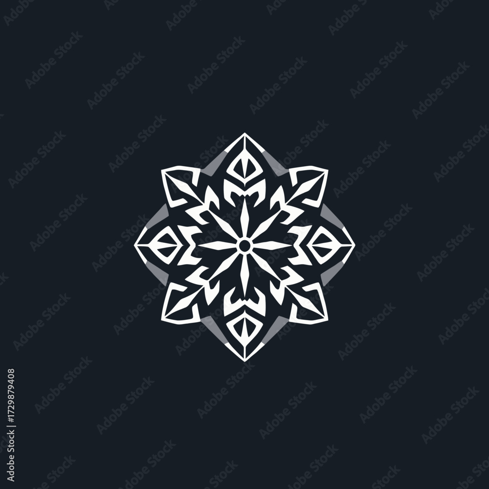 Obraz premium Abstract geometric design featuring a white, symmetrical, floral-like pattern on a dark background.