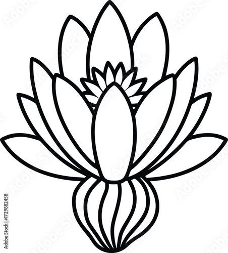 desert cactus with flower bloom line art on transparent background