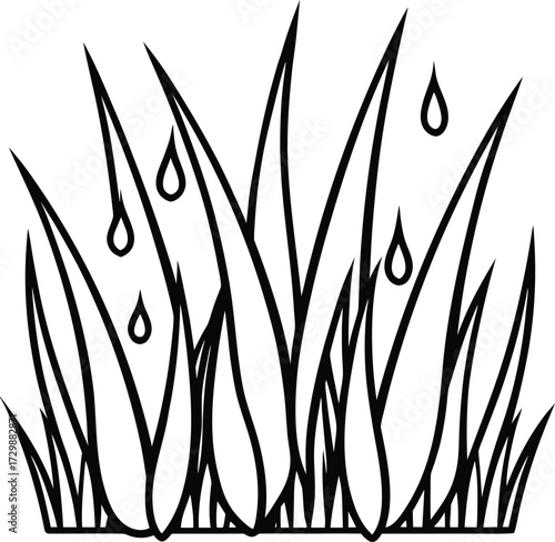 dew drops on fresh grass in morning line art on transparent background