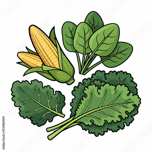 Cartoon illustration of fresh corn spinach and kale with bold outlines.