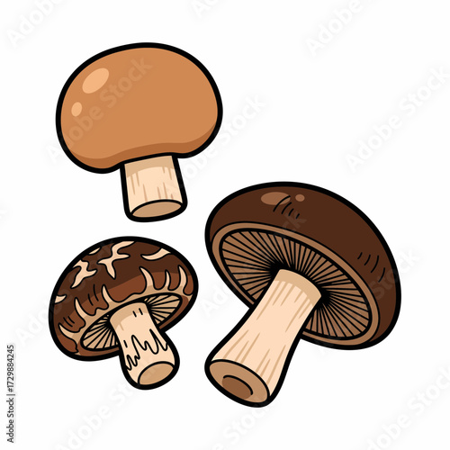 Cartoonish Trio of Fungi A Cremini and Two Shiitake Mushrooms.