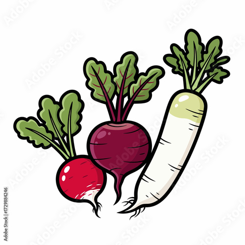 Cartoonish Trio of Root Vegetables Red Beet Purple Beet and Daikon Radish.