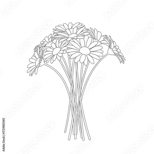 A black and white illustration of a bouquet of daisy flowers with long stems, viewed from a slightly elevated angle.