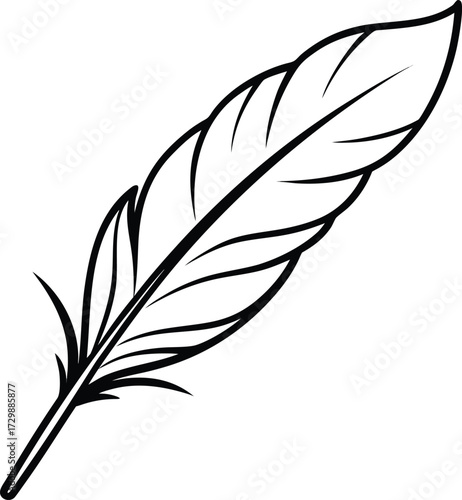 feather floating in air line art on transparent background