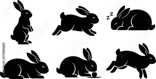 Vector art of collection of six black silhouette illustrations of rabbits in various poses