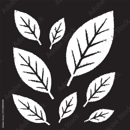vector illustration of black and white leaves abstract background