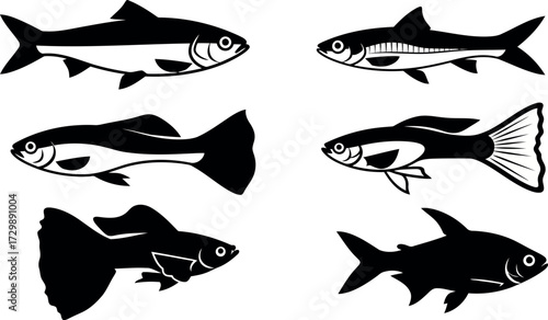 Vector art of set of various fish silhouettes including guppy and shark