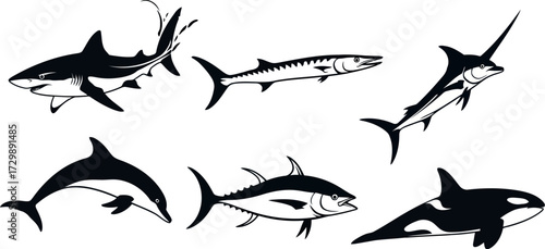 Vector art of collection of marine animal silhouettes including shark, dolphin, tuna, and orca