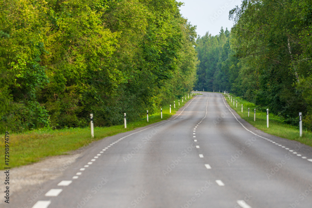 Fototapeta premium Scenic country road lined with green trees, a straight asphalt highway with white markings and safety posts in the countryside.
