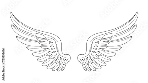 Detailed sketch of a pair of elegant angel wings spread wide against a pure white background showcasing intricate feather details and a classic symmetrical design