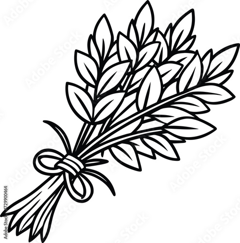 leafy herb bundle for healing line art on transparent background
