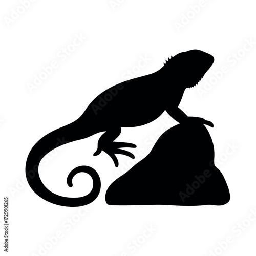 Silhouette of a bearded dragon lizard perched on a rock against a white background