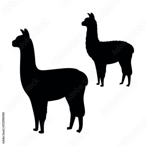 Two silhouettes of llamas standing against a white background in a profile view