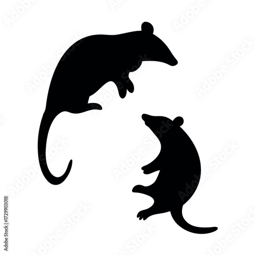 Two black silhouette rats in a dynamic pose against a white background