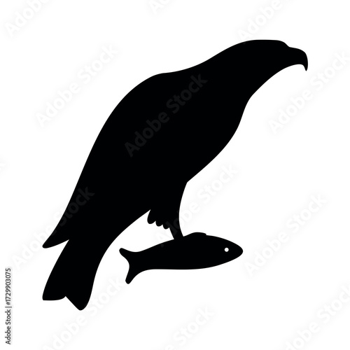 Silhouette of a majestic bird of prey perched with a freshly caught fish