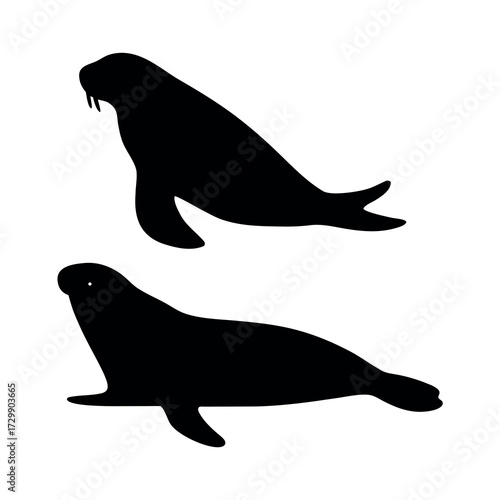 Two black silhouettes of seals or walruses on a white background