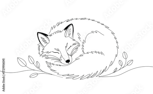 Whimsical hand drawn line art illustration of a sleeping fox curled up peacefully on a branch with delicate leaves perfect for children s books and nature themes