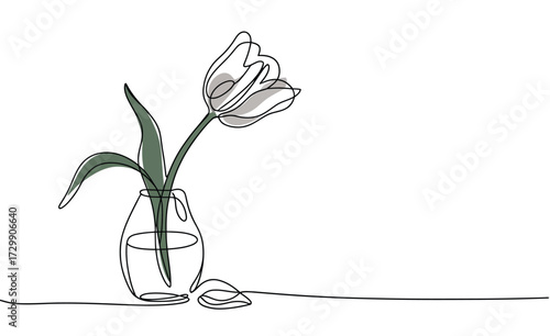 Minimalist single line drawing of a delicate tulip flower in a clear glass vase with water and a single leaf on a white background