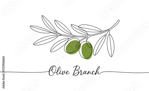 Elegant hand drawn sketch of a delicate olive branch with two ripe green olives and the handwritten word olive branch on a clean white background symbolizing nature and mediterranean cuisine