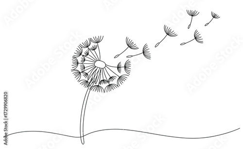 Delicate line drawing of a dandelion seed head with seeds blowing away in the wind symbolizing wishes dreams and the passage of time on a white background