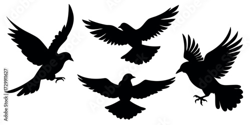Vector Silhouette Set of Birds Flying Perched and Landing