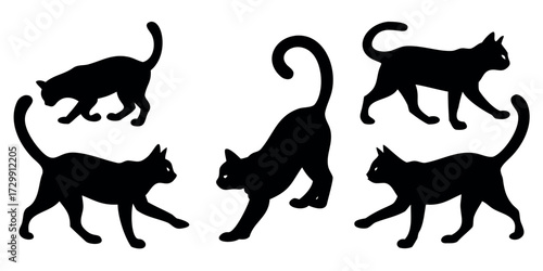 Vector Silhouette Set of Cats Walking Stretching and Resting Positions