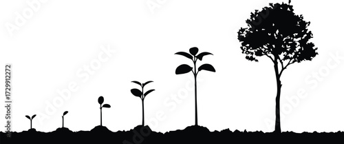 A silhouette illustration depicting the stages of plant growth from a small seedling to a large mature tree, symbolizing development and progress