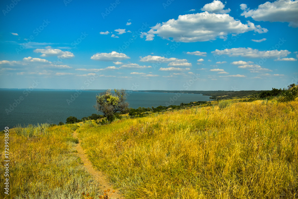 Fototapeta premium summer landscape with a river