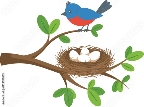 Colorful bird sitting on tree branch near nest with eggs, nature wildlife illustration, spring season vector, natural animal habitat design