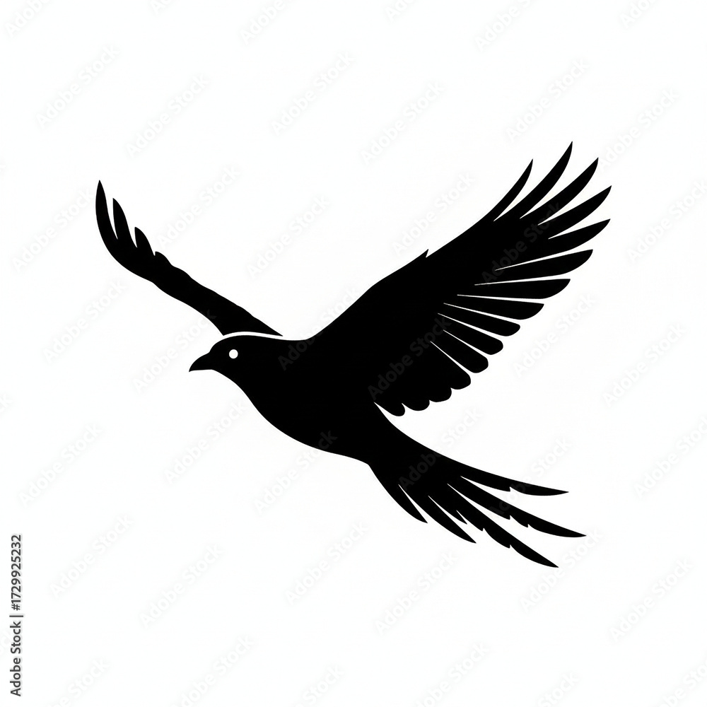 Fototapeta premium Silhouette of a black bird in flight with outstretched wings and long tail feathers