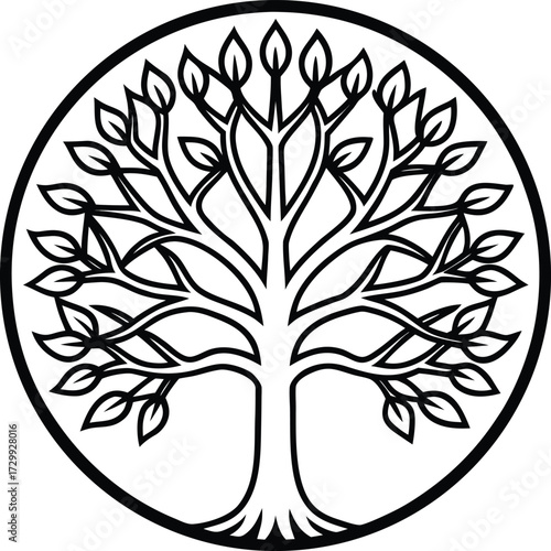 tree of life symbol line art on transparent background