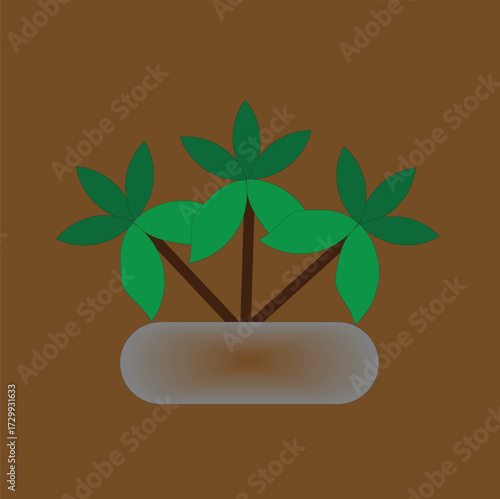 3 little plant with green color and brown background in a tub